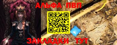 шишки Изобильный