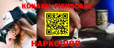 шишки Изобильный