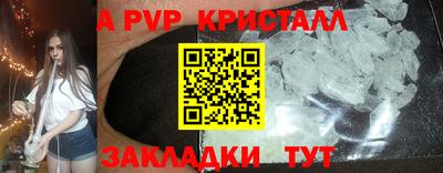 шишки Изобильный