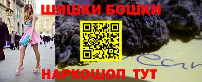 шишки Изобильный