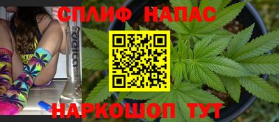 шишки Изобильный