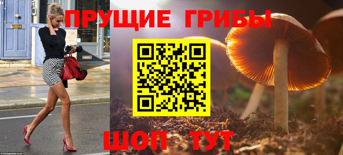 как найти закладки  Вход с VPN  Дедовск  Галлюциногенные грибы Psilocybine cubensis 